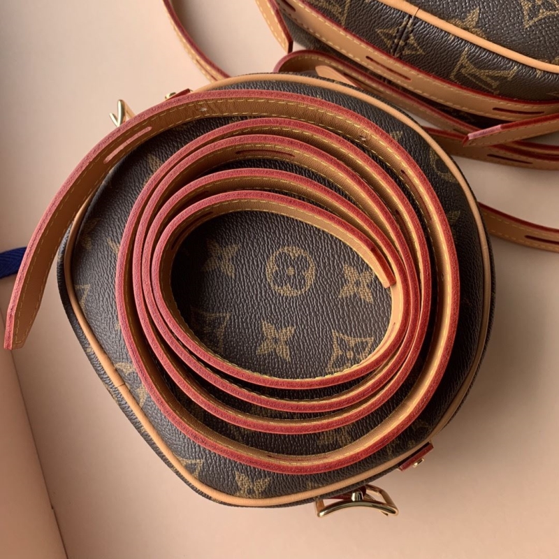 LV Satchel bags